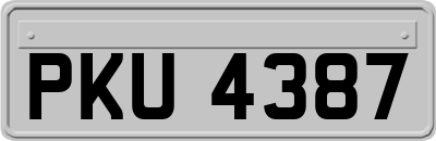 PKU4387