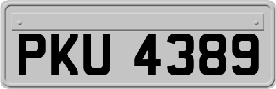 PKU4389