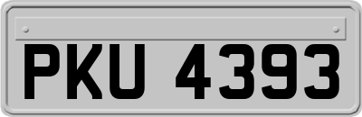 PKU4393