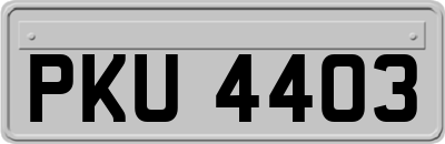 PKU4403