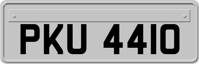 PKU4410