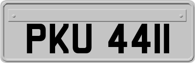 PKU4411