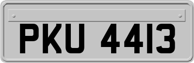 PKU4413
