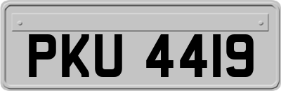 PKU4419
