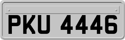 PKU4446