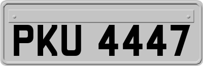 PKU4447