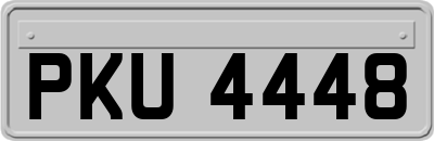 PKU4448