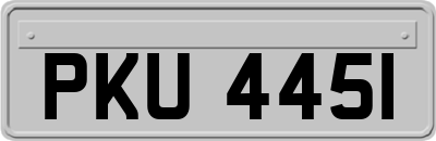 PKU4451