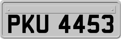 PKU4453