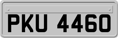 PKU4460