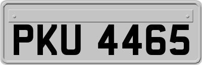 PKU4465