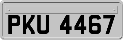 PKU4467