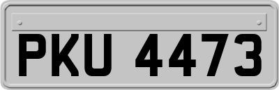 PKU4473