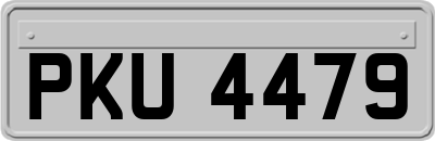 PKU4479