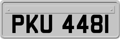 PKU4481