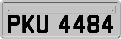PKU4484