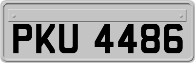 PKU4486