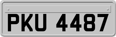 PKU4487