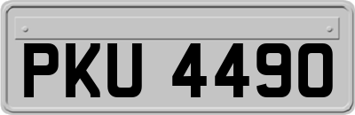 PKU4490