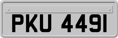 PKU4491