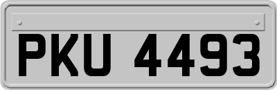 PKU4493