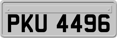 PKU4496