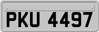 PKU4497