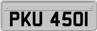 PKU4501