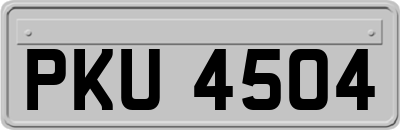 PKU4504