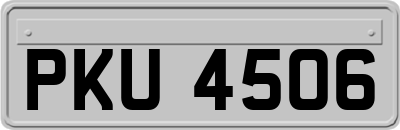 PKU4506