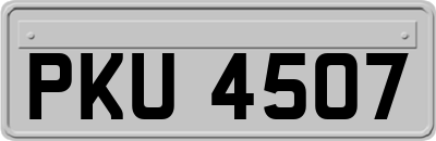 PKU4507