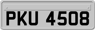 PKU4508