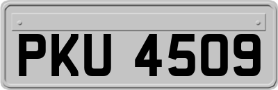 PKU4509