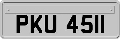 PKU4511