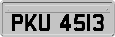 PKU4513