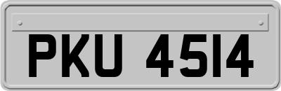 PKU4514