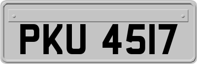 PKU4517
