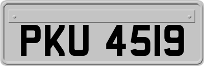 PKU4519