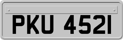 PKU4521