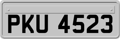 PKU4523