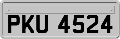 PKU4524