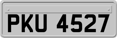 PKU4527