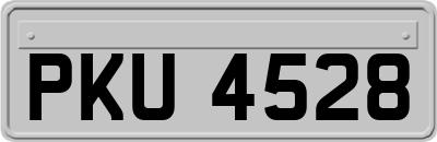 PKU4528