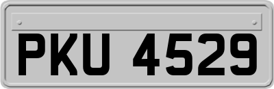 PKU4529