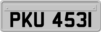 PKU4531