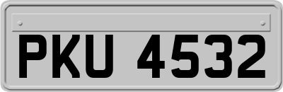 PKU4532