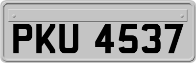 PKU4537