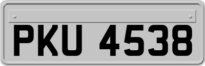 PKU4538