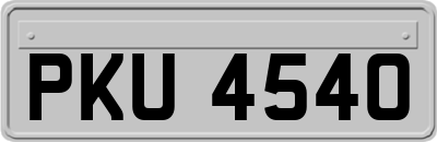 PKU4540