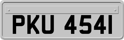 PKU4541